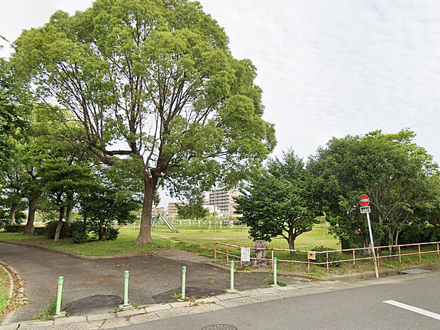 島田橋公園(約500m)