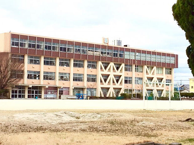 日進市立日進中学校（約1m）