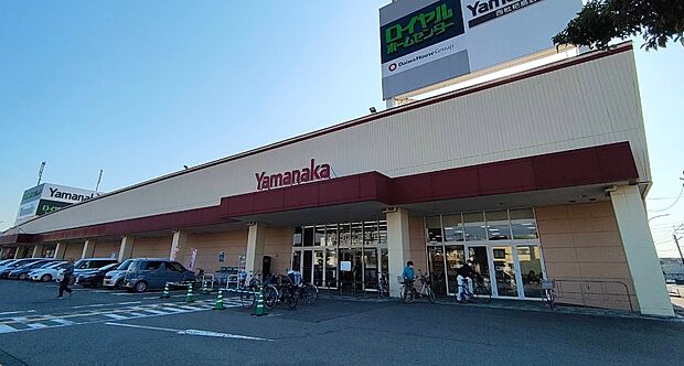 ヤマナカ西枇杷島店(約1m)