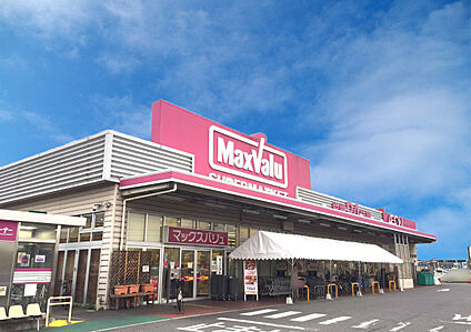 マックスバリュグランド名西店 910m(徒歩12分)