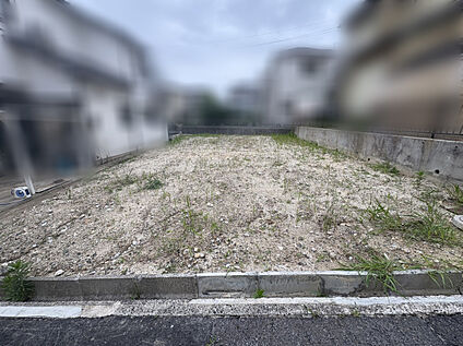現地（2026年6月）撮影