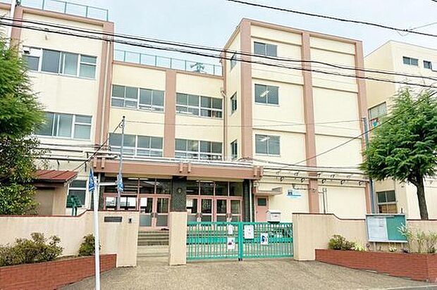 足立区立六木小学校(約900m)