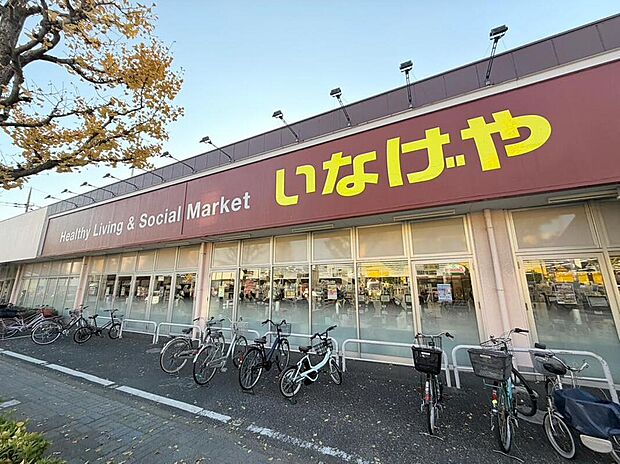 いなげや江戸川春江店（約620m）
