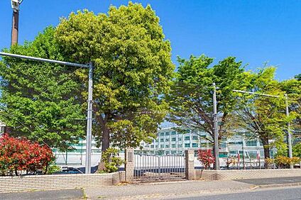 江戸川区立松江第四中学校 800ｍ(徒歩10分)