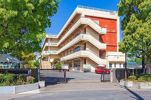 三郷市立早稲田中学校（約1,100m）