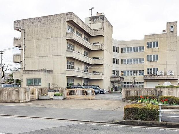 三郷市立丹後小学校（約525m）