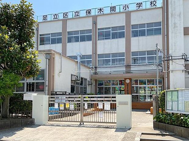 足立区立保木間小学校（約600m）