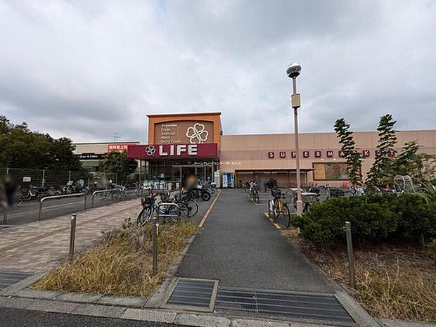 ライフ奥戸店（約800m）