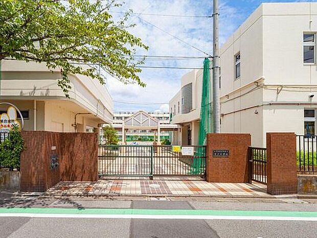 葛飾区立青戸中学校(約300m)