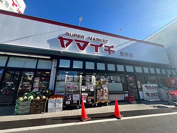 ヤマイチ鹿骨店(約750m)