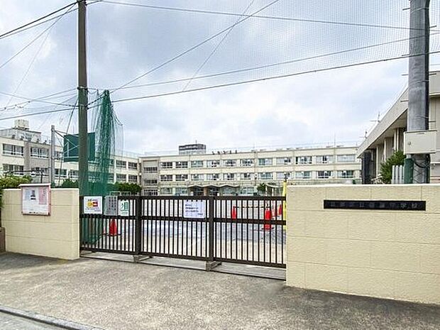 葛飾区立桜道中学校（約1,100m）