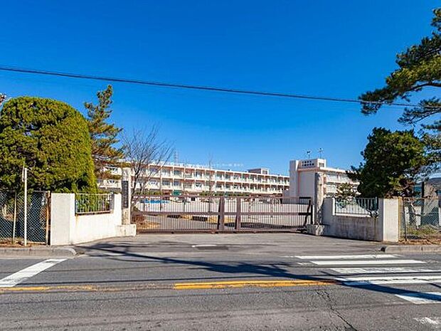 八潮市立八幡小学校（約550m）