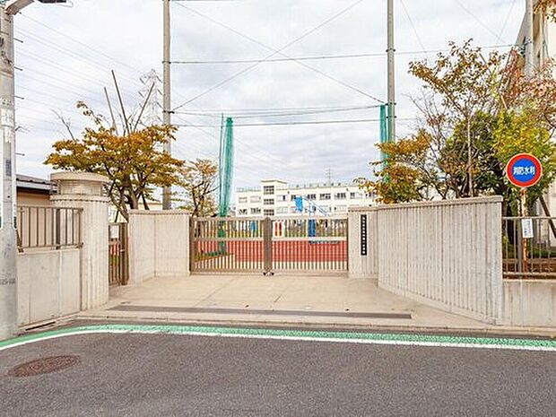 足立区立花畑第一小学校（約700m）