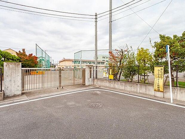 足立区立花畑中学校（約800m）