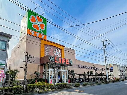 ライフ大谷田店 800m(徒歩10分)