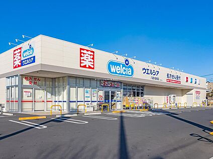 ウエルシア八潮大曽根店 880ｍ(徒歩11分)