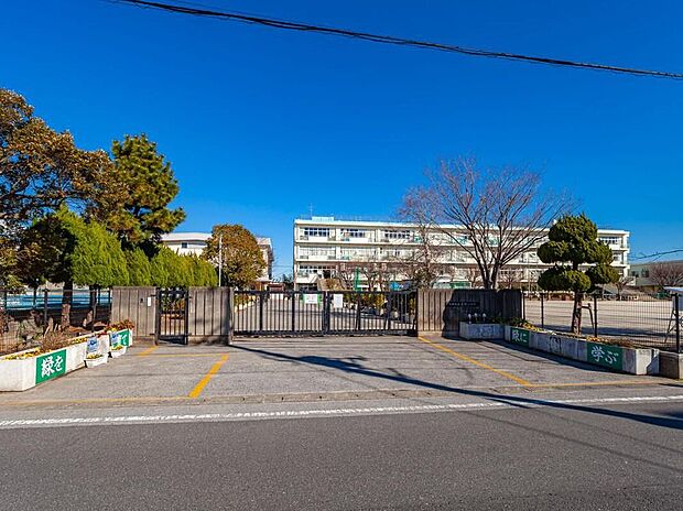 三郷市立鷹野小学校（約750m）
