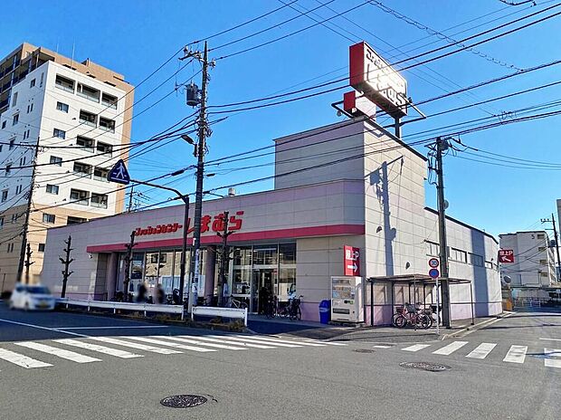 ファッションセンターしまむら谷在家店（約500m）