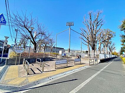 水元スポーツセンター公園 240ｍ(徒歩3分)