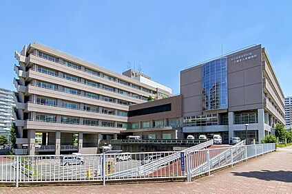 独立行政法人地域医療機能推進機構東京城東病院 800ｍ(徒歩10分)