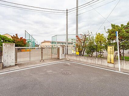 足立区立花畑中学校 550m(徒歩7分)