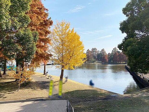 水元公園（約1,400m）