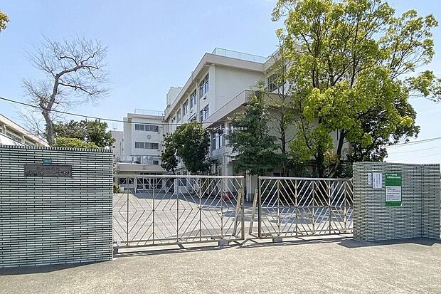 江戸川区立篠崎第二中学校(約350m)