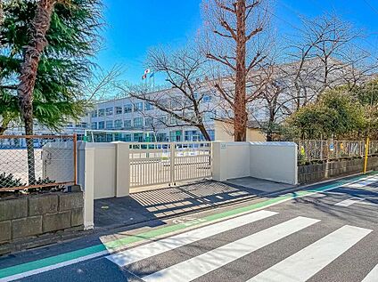 足立区立花保小学校 450m(徒歩6分)