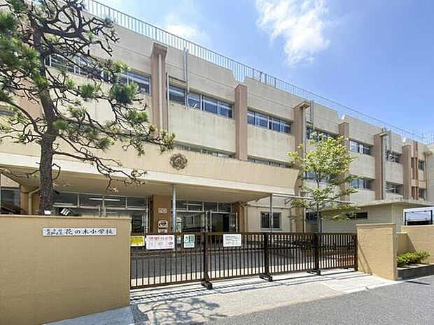 葛飾区立花の木小学校（約550m）