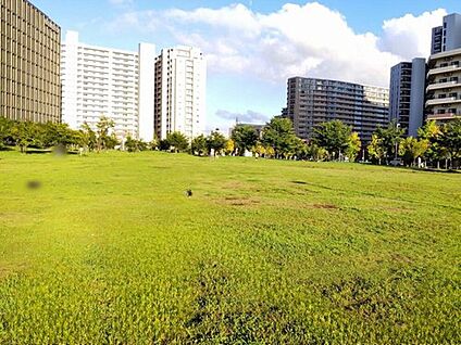 葛飾にいじゅくみらい公園 2200m(徒歩28分・自転車で9分)