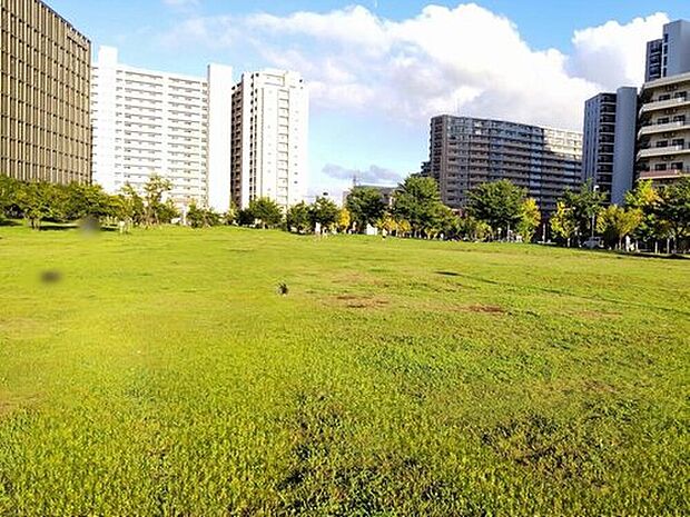 葛飾にいじゅくみらい公園(約2,200m)