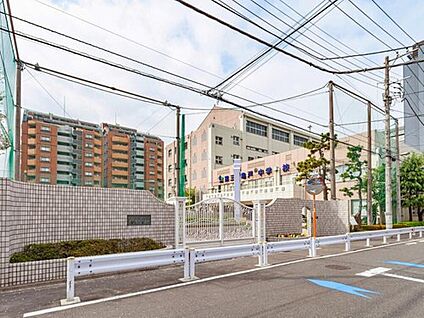 江東区立第三亀戸中学校 1500m( 徒歩19分)