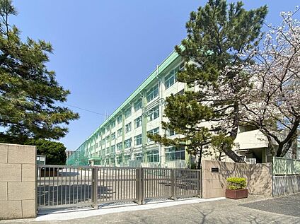 江戸川区立南葛西中学校 210m(徒歩3分)