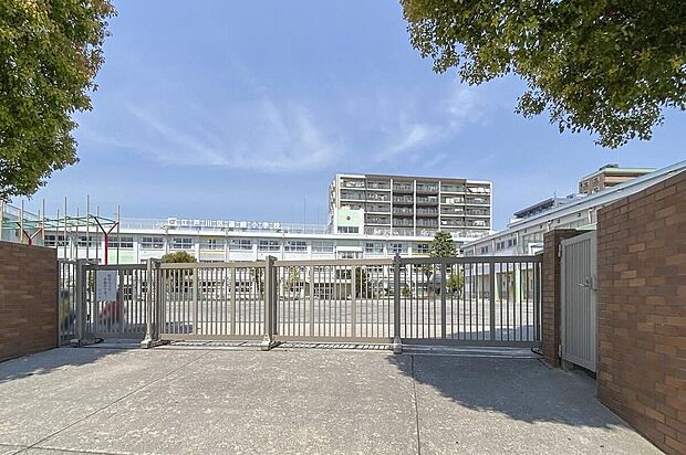 江戸川区立篠崎小学校(約400m)