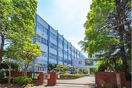 江戸川区立松江第一中学校 1300m (徒歩17分)