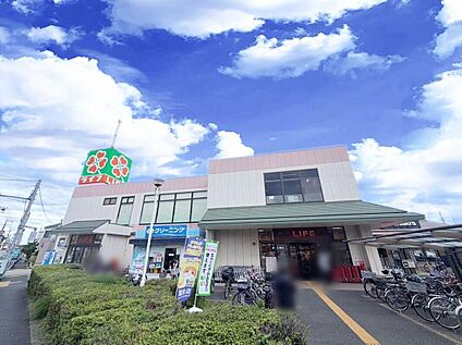 ライフ水元店 550ｍ(徒歩7分)
