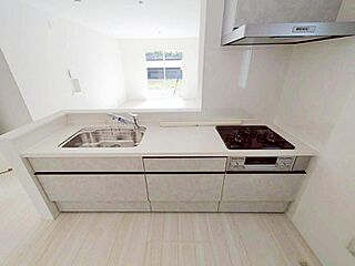 飯田グループホールディングス　リナージュ知多阿久比町植大　第１期　全３棟 その他