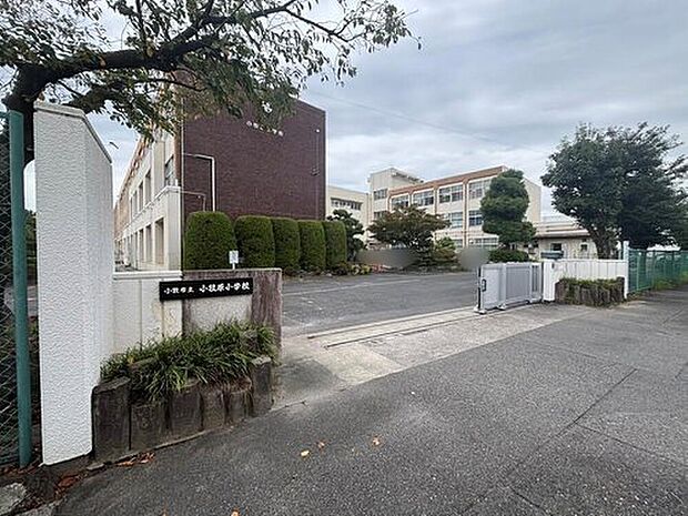 小牧市立小牧原小学校（約300m）