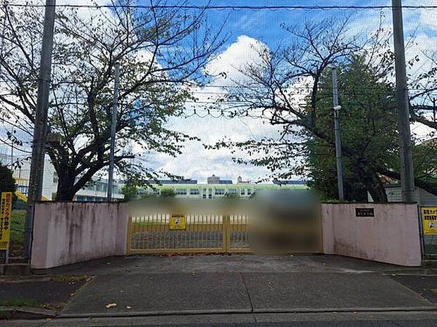 名古屋市立大杉小学校（約85m）
