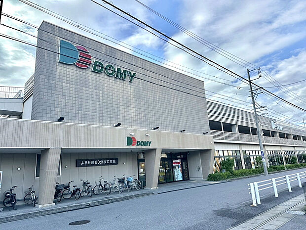 ドミー　岡崎駅東店（約1,100m）
