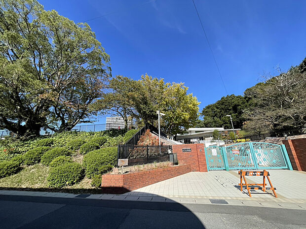 たつみ幼稚園（約2,600m）