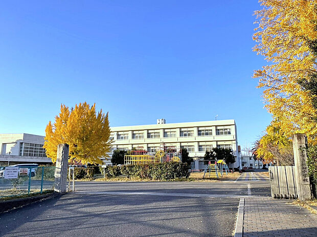 新知小学校（約900m）