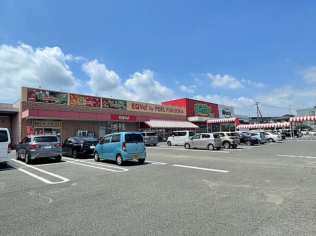 フィールエクボ福岡店（約900m）