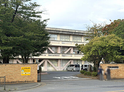 笠原小学校 782m
