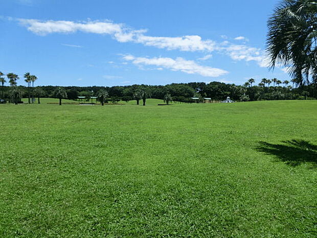 辻堂海浜公園(約334m)