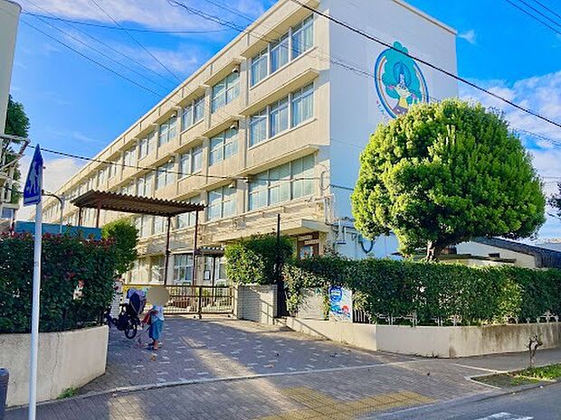 横浜市立新吉田小学校（約542m）