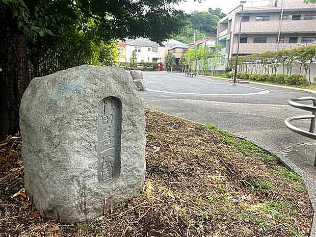 杉田善一公園（約836m）