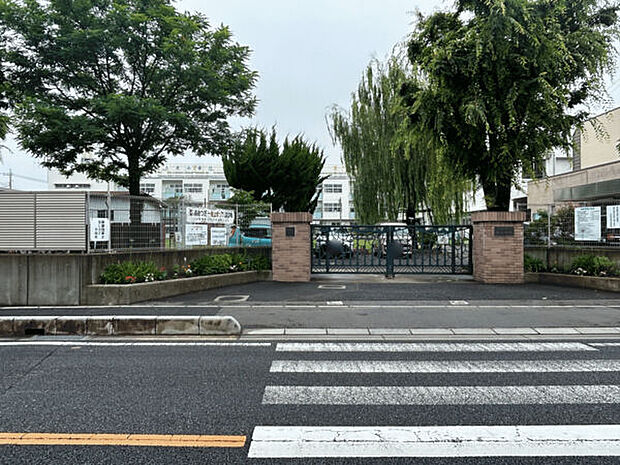 川口市立芝小学校（約326m）