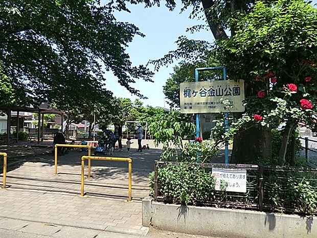 梶ヶ谷金山公園（約512m）