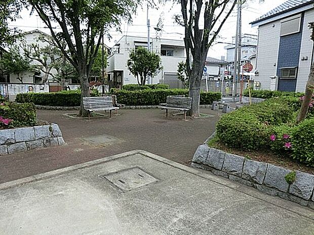 江古田しいの木公園(約211m)